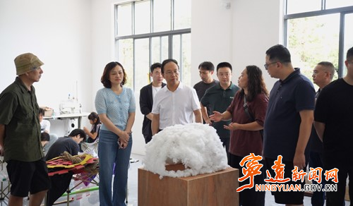中国美术学院党委书记金一斌一行来宁远调研_副本500.jpg