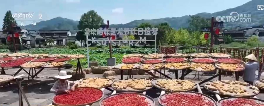 又是一年好“丰”景!五彩斑斓绘出秀美秋收画卷 古村晒秋庆祝五谷丰登
