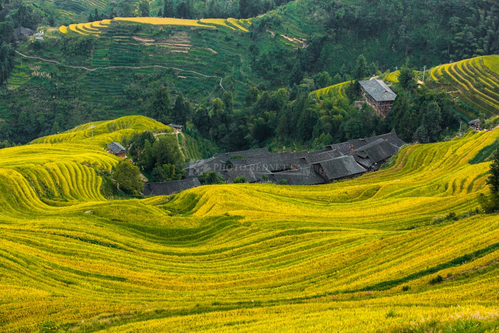 大地线条（刘木匠）.jpg