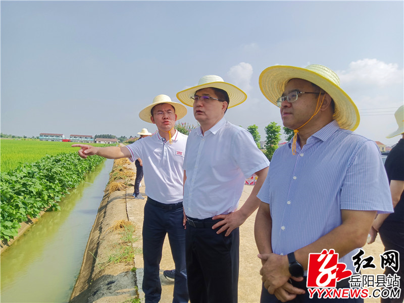 在中洲乡中洲村调研2022年度岳阳县中洲乡高标准农田建设示范片工作.jpg