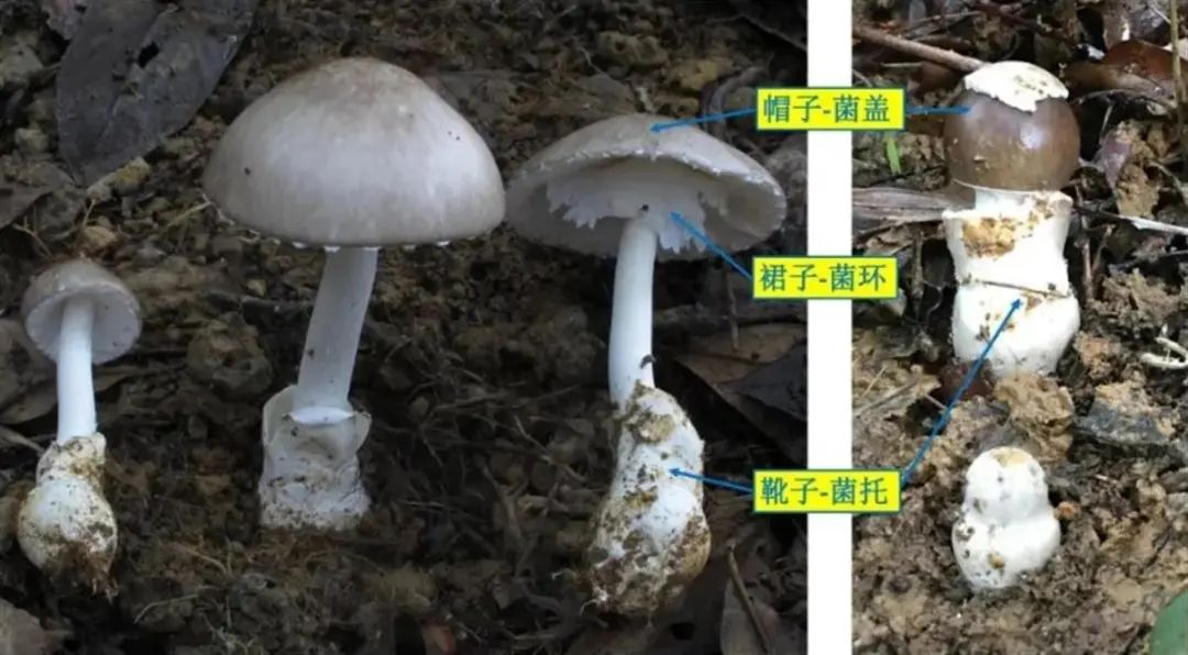 图片3.png 图片3.png