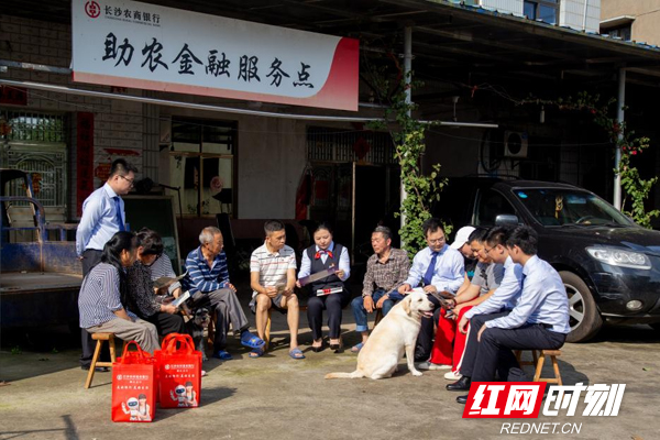 长沙农商银行：走入乡村 走向市场 走近市民 “普”写惠民新答卷