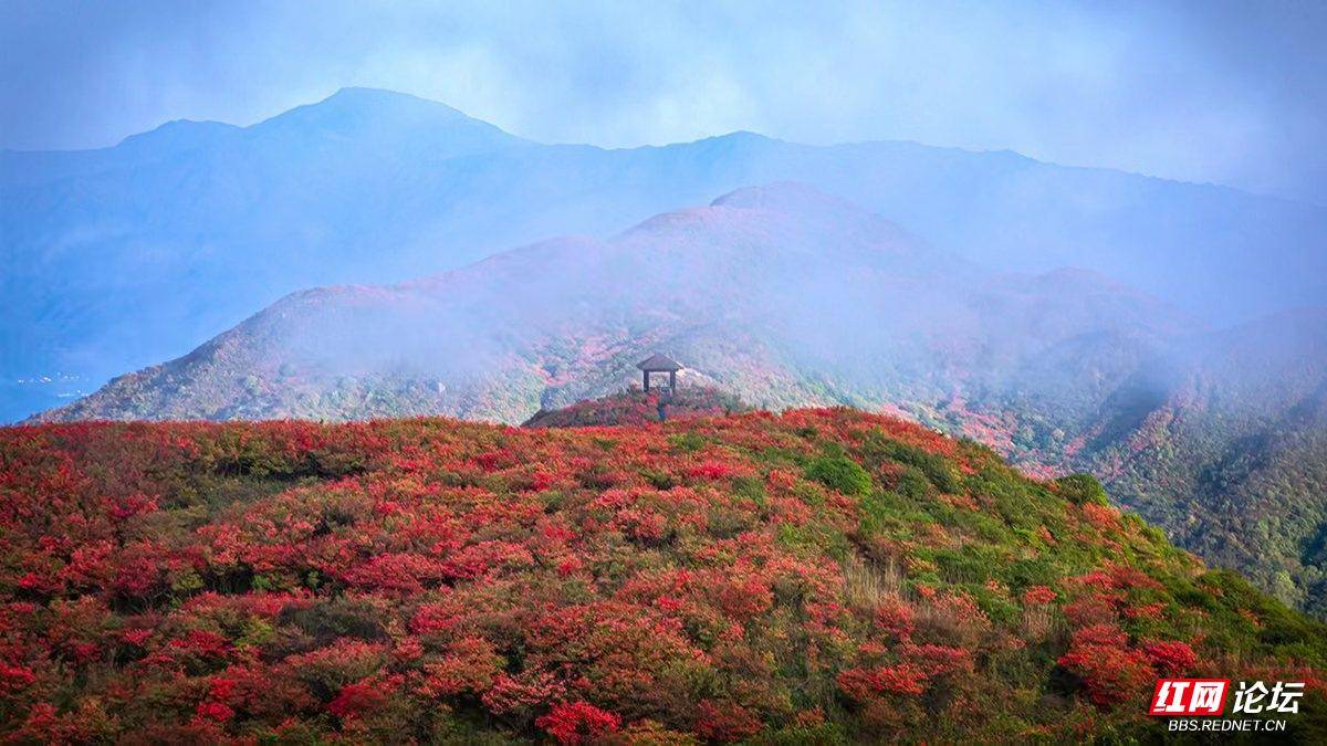 邓国强0大围山6.jpg