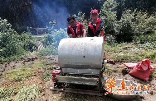 寧遠：助農秋收解民憂 幫扶群眾暖民心_副本500.jpg