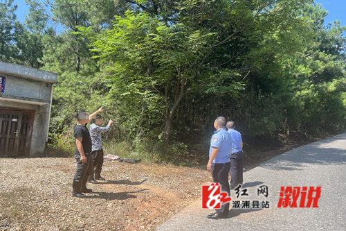 红网2.jpg