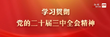 学习贯彻党的二十届三中全会精神