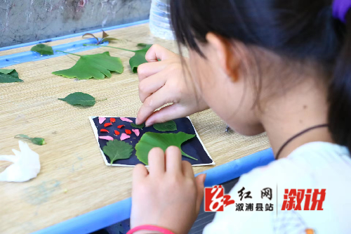 图片2_副本.png