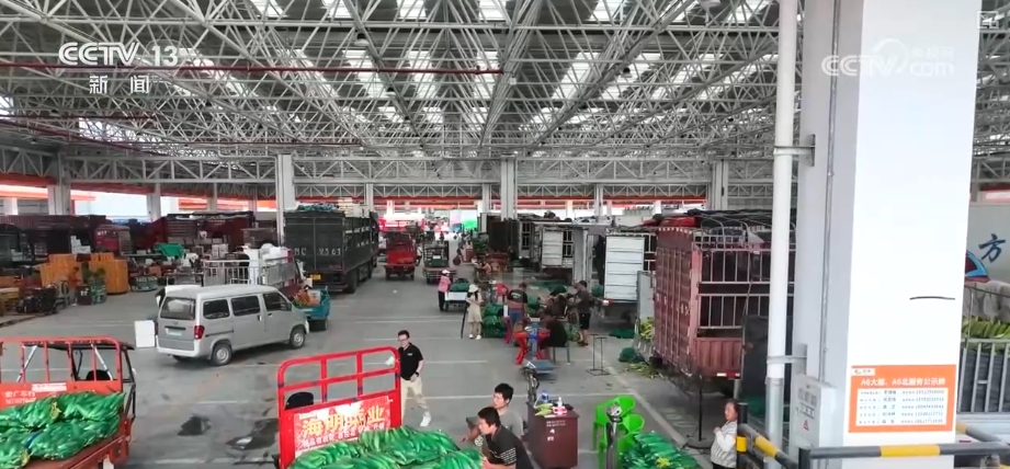 蔬菜买全国、卖全国!价格回落 “菜篮子”稳产保供有基础