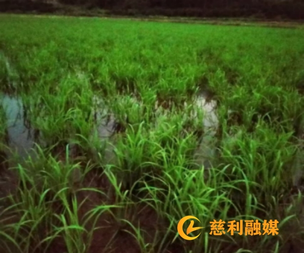 1a50f7f515d6182c4b5a87ee9e68033_副本.jpg