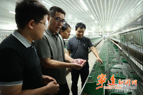 宁远：推进校院企合作 促进人才产业协同发展2_副本500.jpg