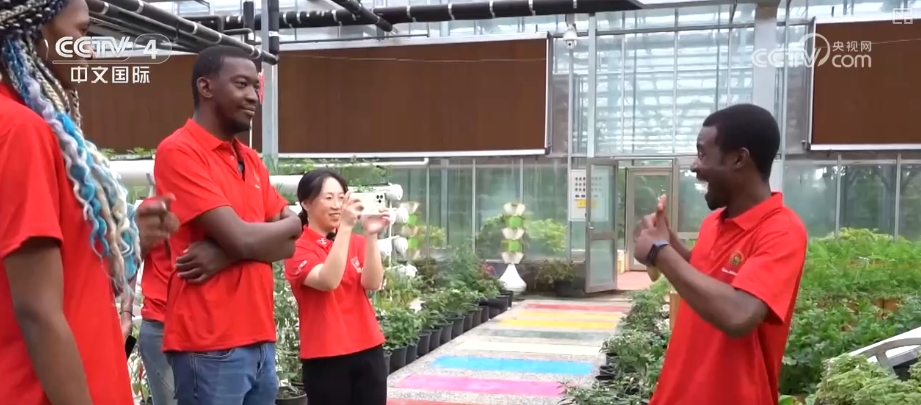 中非能力建设多方面“开花结果” 积蓄合作新力量