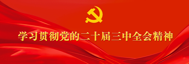 专题丨学习贯彻党的二十届三中全会精神