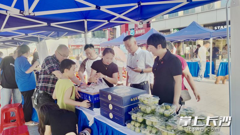 新鮮水靈的高山水果從枝頭直送長沙市民餐桌。  均為長沙晚報全媒體記者李卓攝