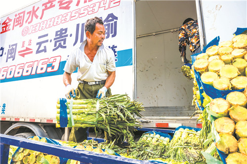 永州“菜园子”直通境外“菜篮子”