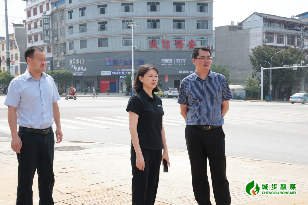 王慧敏调度城区市容秩序整治工作(图2)