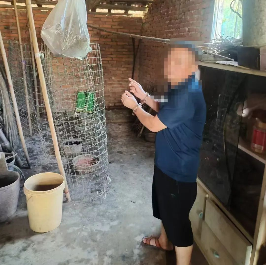 图片 图片
