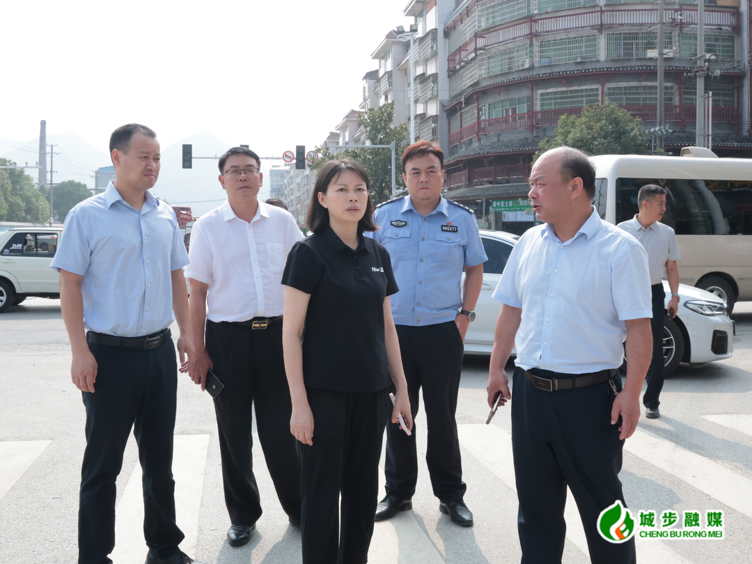 王慧敏调度城区市容秩序整治工作(图1)