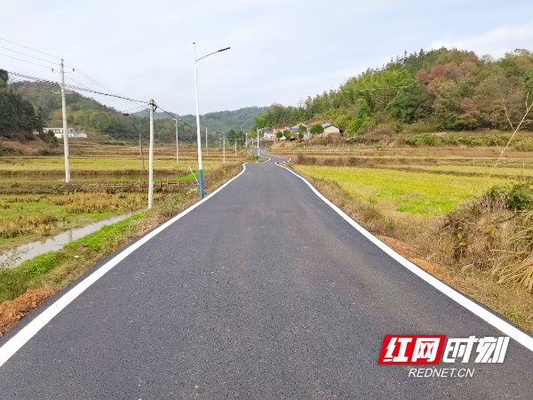 金山公路建设后2_副本.jpg