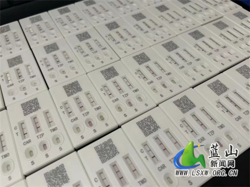 祠堂圩镇开展农残胶体金快速检测 切实保障农产品质量安全.jpg