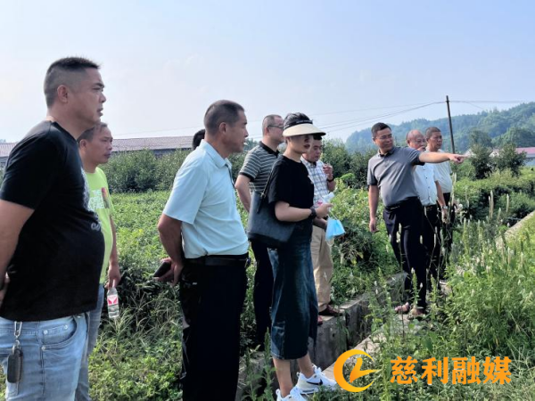 图片1_副本.png