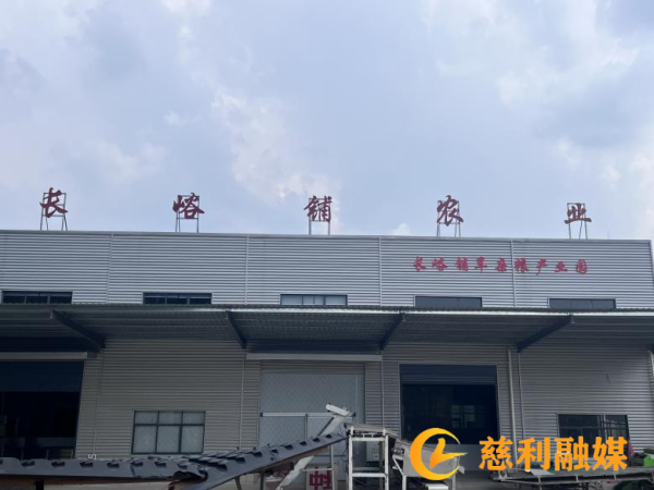 图片4_副本.png