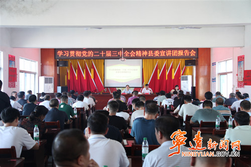 李玲在清水桥镇宣讲党的二十届三中全会精神_副本500.jpg