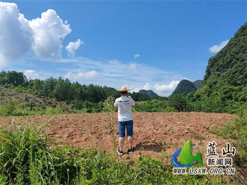 祠堂圩镇：举证进田间 整治出实效.jpg