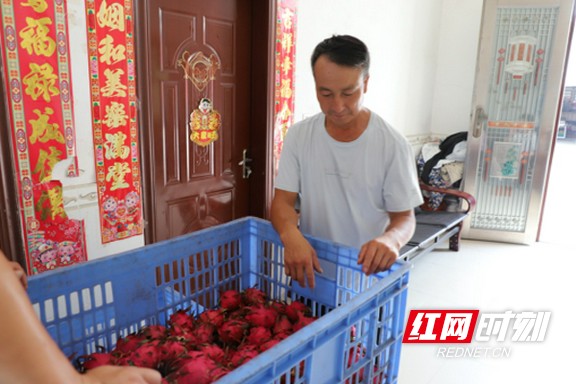 11.marked.jpg 11.marked.jpg