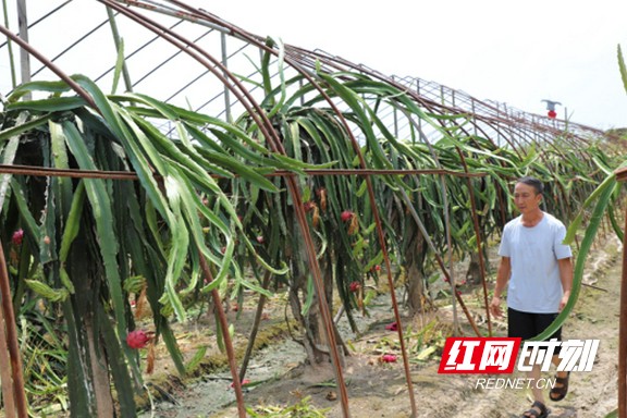 22.marked.jpg 22.marked.jpg