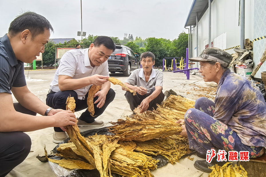 微信图片_20240911203435.jpg