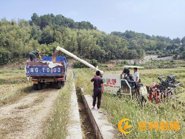 图片7.png 图片7.png