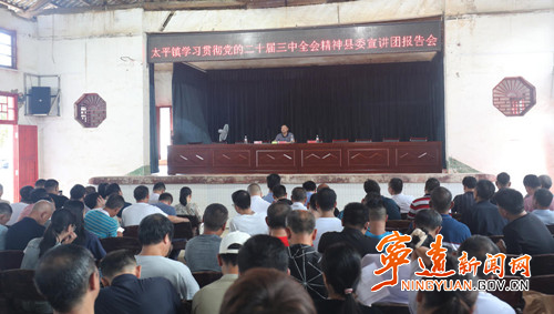 罗诗佳到太平镇宣讲党的二十届三中全会精神_副本500.jpg
