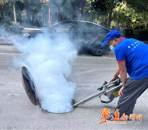 宁远：全面消杀灭蚊  预防登革热_副本500.jpg