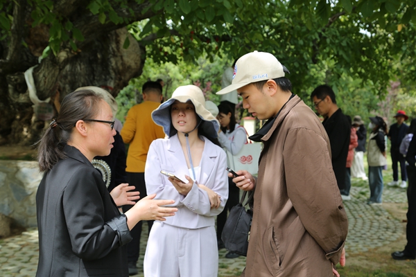 图为采访加查千年核桃林1.jpg