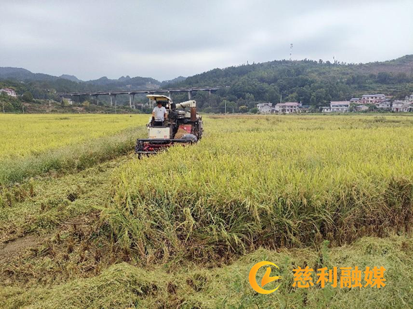 图片6.png 图片6.png