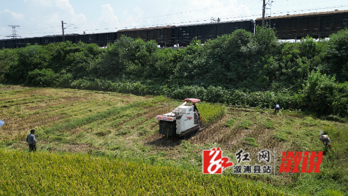 DJI_0370.MP4_snapshot_00.00.536.jpg