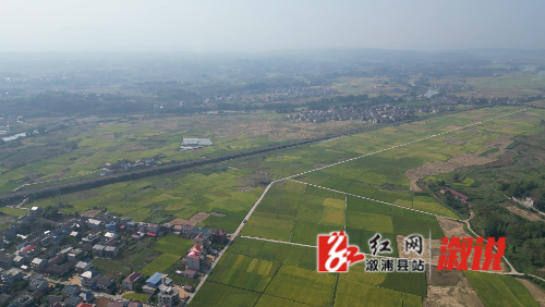 DJI_0356.MP4_snapshot_00.00.578.jpg