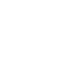 寻迹中国｜茶叶也能做月饼？老外在金坛茅山花式过中秋_新华网江苏频道