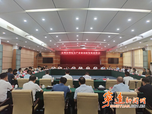 永州市锂电全产业链创新发展座谈会在宁远召开_副本500.jpg
