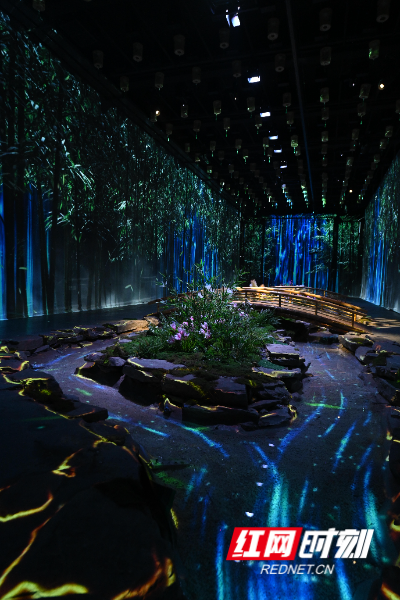 DSC_7454.JPG DSC_7454.JPG