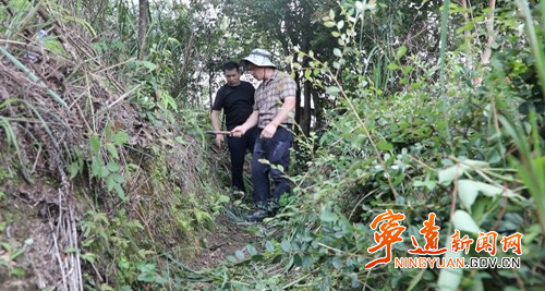 宁远：响鼓岭战壕遗址见证侵华日军罪行_副本500.jpg