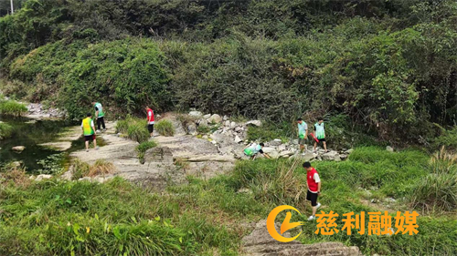 图片1_副本50.png