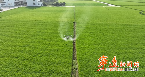 宁远:“一喷多促”护航秋粮稳产增收_副本500.jpg 宁远:“一喷多促”护航秋粮稳产增收_副本500.jpg