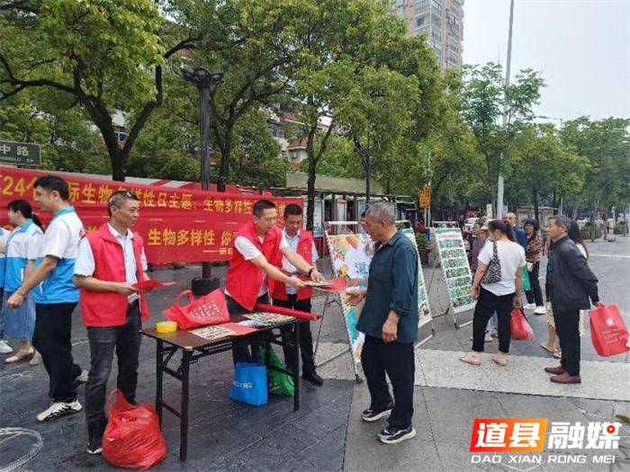 道县生态保护显成效森林覆盖率达1_副本.png 道县生态保护显成效森林覆盖率达1_副本.png