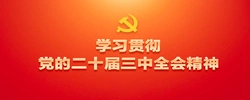 专题丨学习贯彻党的二十届三中全会精神