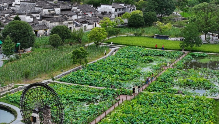 全民参与 农文旅添彩乡村“丰”景图