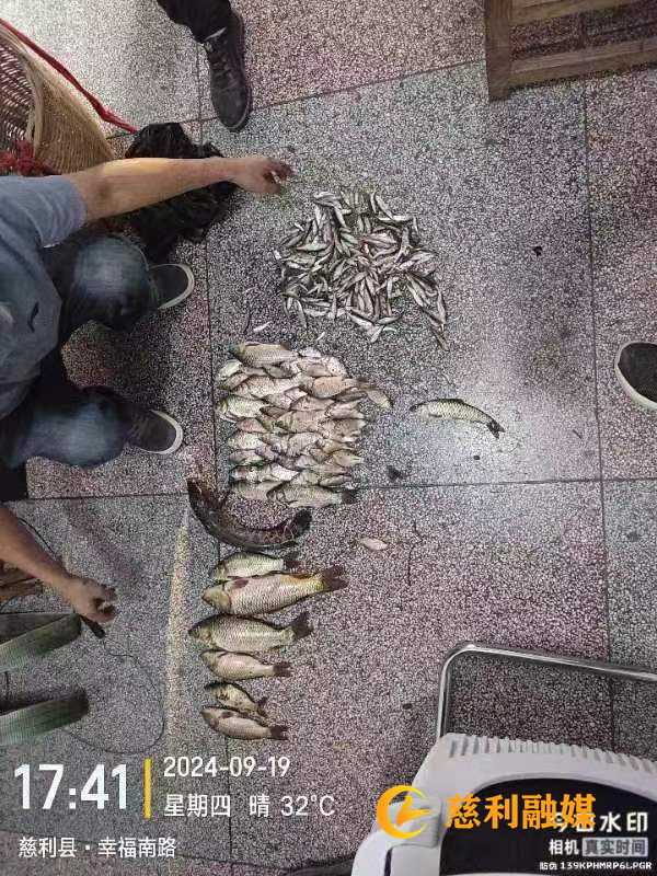 微信图片_20240923144933.jpg