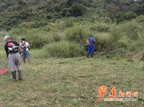 宁远：割出防火线   筑牢生态安全屏障_副本500.jpg
