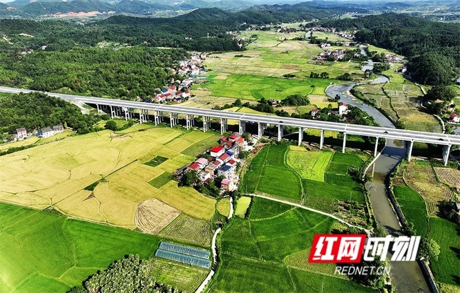 永州：豐收季 糧食生產井然有序
