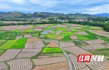 道縣：多彩田園 鋪展畫卷
